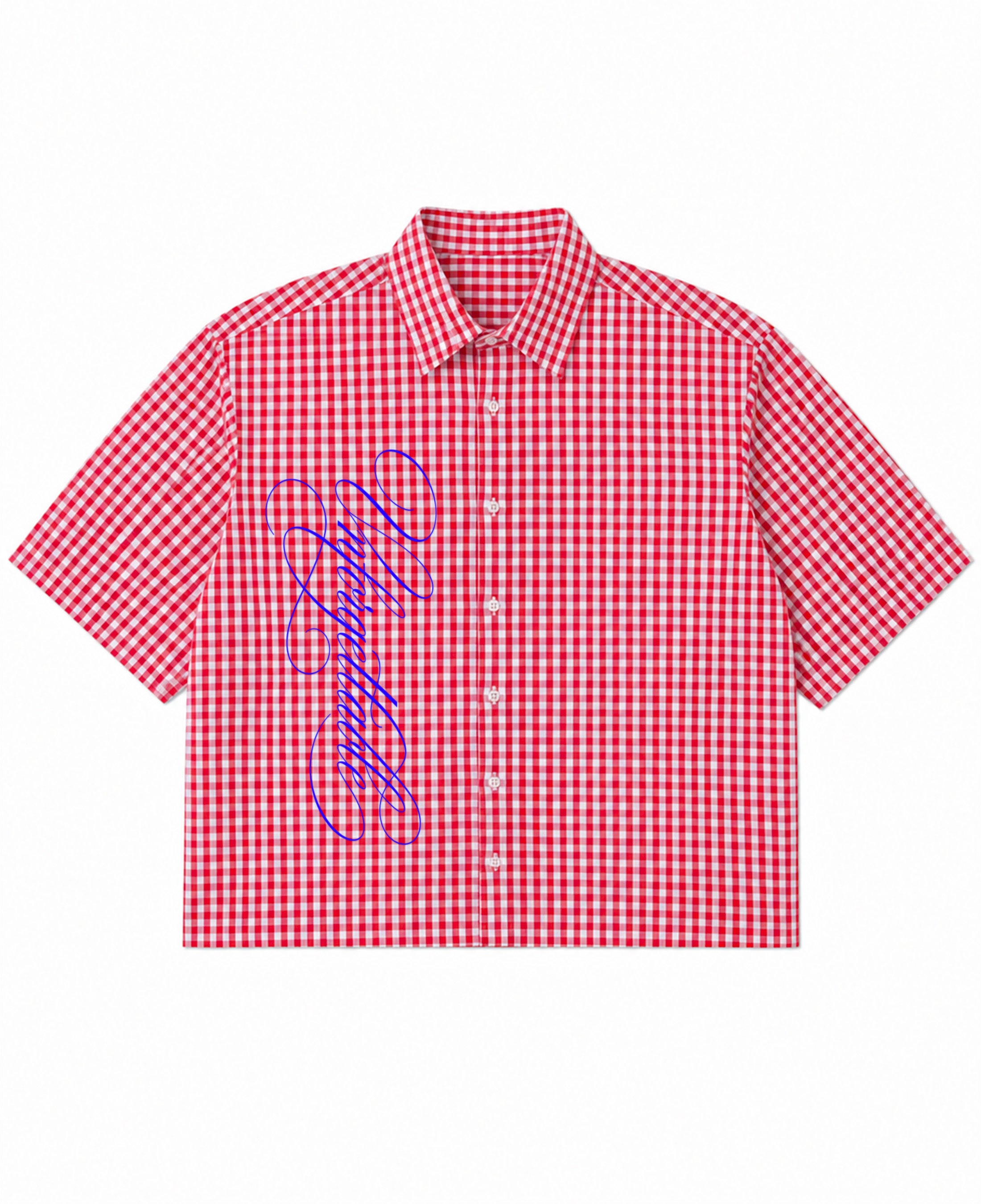 Red Picnic Oxford Boxy Shirt Front Design